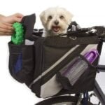 Canasto para perro bicicleta con mascota pequeña en manubrio
