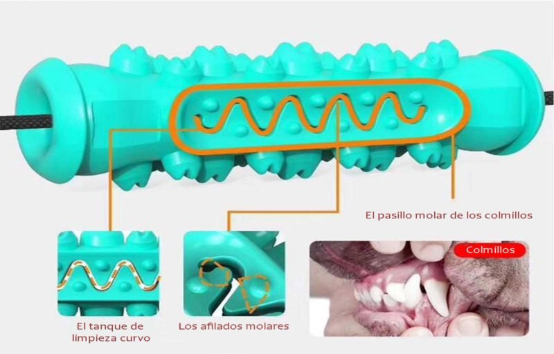 ventosa-doble-molar-4.jpg ventosa doble molar 4