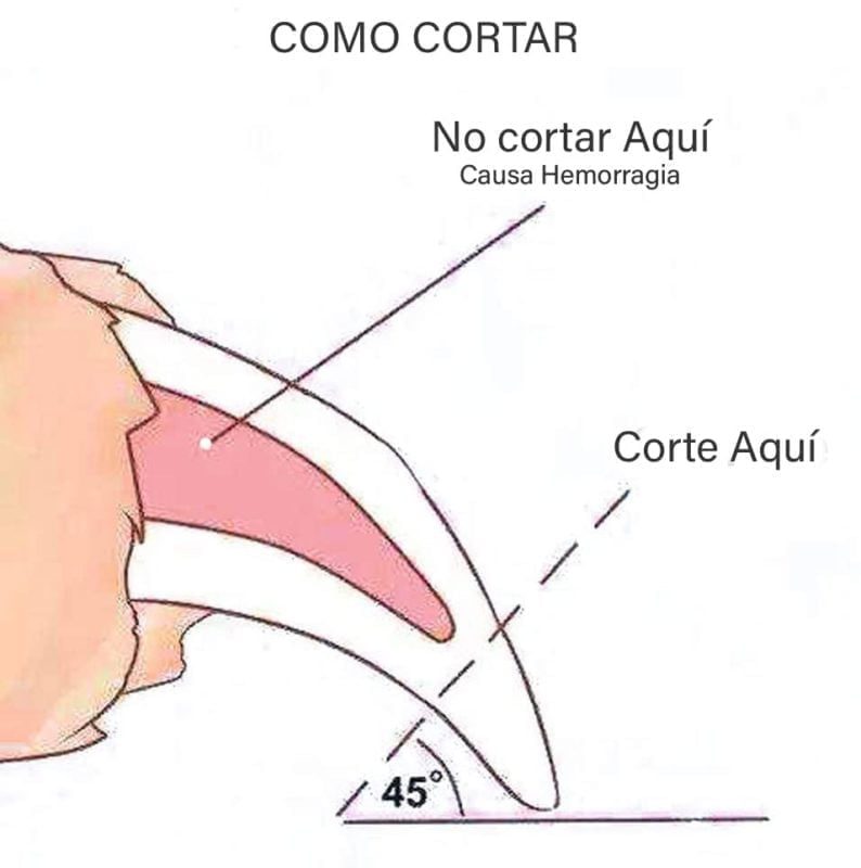 7807663001617-5-1.jpg