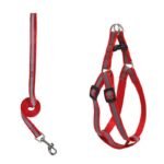 Arnes-correa-1cm-reflectante-arnes-2cm-Rojo-1-1.jpg