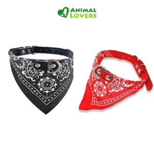 Collar Pañuelo L