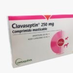 Clavaseptin-250-mg-1.jpeg Clavaseptin 250 mg 1