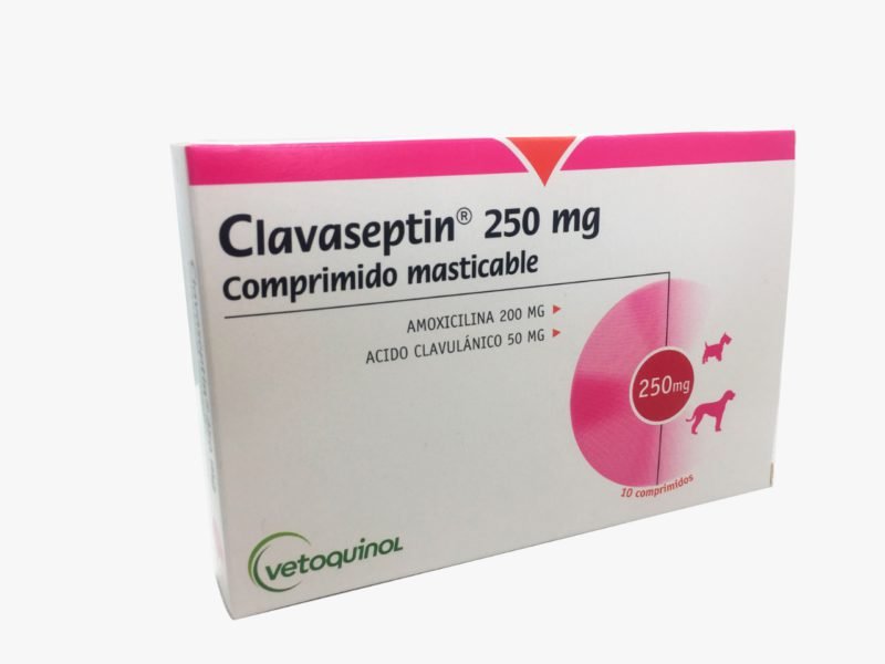 Clavaseptin-250-mg-1.jpeg Clavaseptin 250 mg 1
