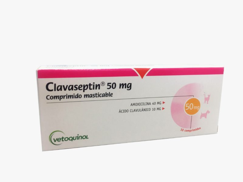 Clavaseptin-50-mg-1.jpeg Clavaseptin 50 mg 1