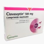 Clavaseptin-500-mg-1.jpeg Clavaseptin 500 mg 1