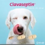 Clavaseptin-Rango-Presentacion-simple-1.jpeg Clavaseptin Rango Presentacion simple 1