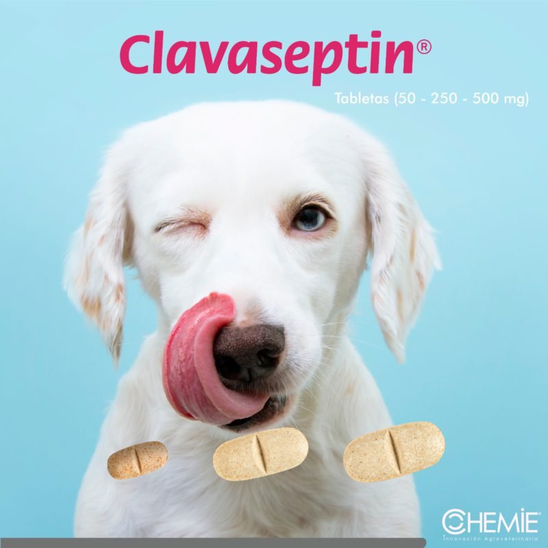 Clavaseptin-Rango-Presentacion-simple-1.jpeg Clavaseptin Rango Presentacion simple 1