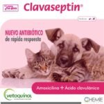 Clavaseptin-Resumen-1.jpeg Clavaseptin Resumen 1