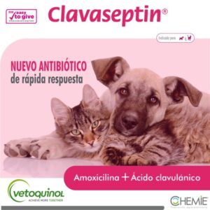 Clavaseptin Amoxicilina con acido Clavulanico perros