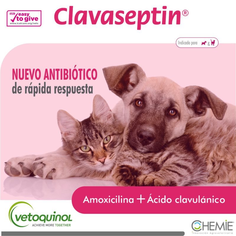 Clavaseptin-Resumen-1.jpeg Clavaseptin Resumen 1