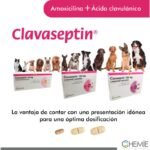 Clavaseptin-rango-presentacion-1.jpeg Clavaseptin rango presentacion 1