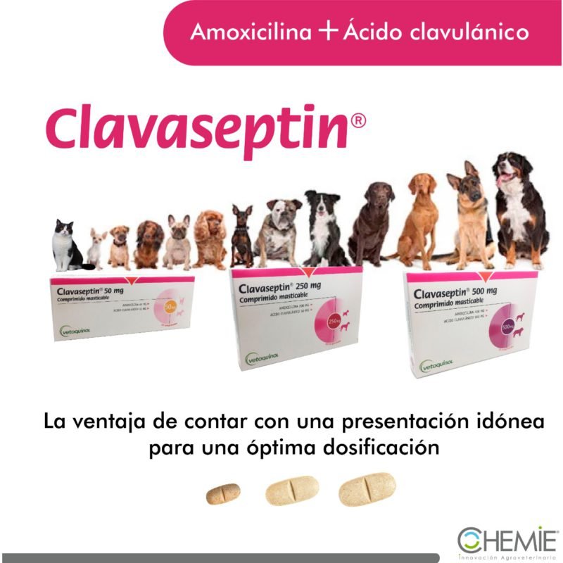 Clavaseptin-rango-presentacion-1.jpeg Clavaseptin rango presentacion 1