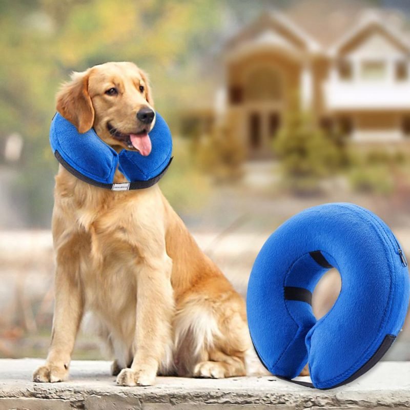 Collar-inflable9-1.jpg Collar inflable9 1