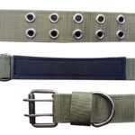 Collar-para-perro-agujeros-dobles.jpg Collar para perro agujeros dobles