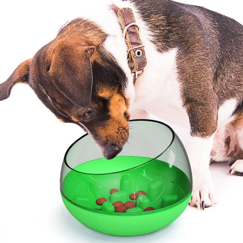 Plato Anti Ansiedad Perro Plato Anti Ansiedad Perro