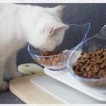 Comedero-elevado-cara-de-gatito-2-1.jpg