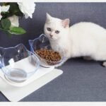 Comedero-elevado-cara-de-gatito-2.jpg