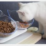 Comedero-elevado-cara-de-gatito-3.jpg