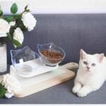 Comedero-elevado-cara-de-gatito-6.jpg