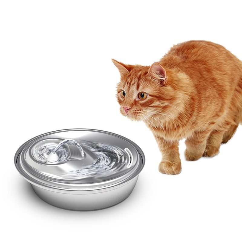 Bebedero-de-Acero-Inoxidable-para-Gatos Bebedero de Acero Inoxidable para Gatos – Hidratación Premium y Estilo Moderno Mantené a tu gato saludable y feliz con este bebedero.