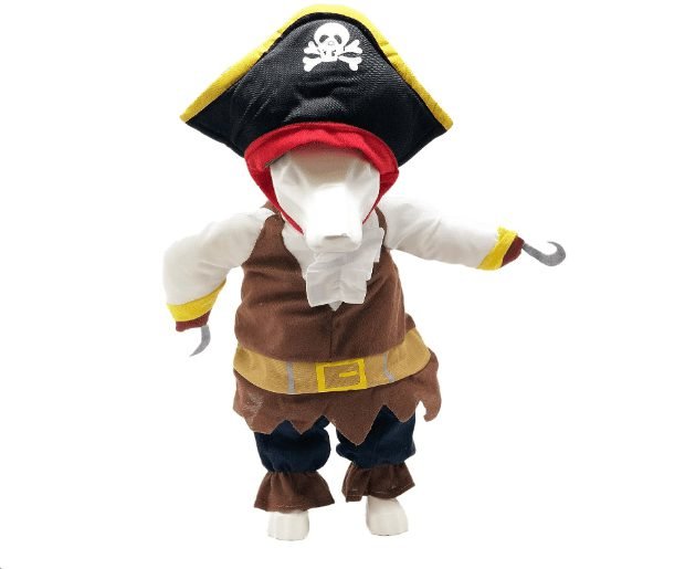 Disfraz-Pirata-completo-1.jpg
