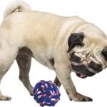 Pelota-para-perro-algodon6-1.jpg Pelota para perro algodon6 1