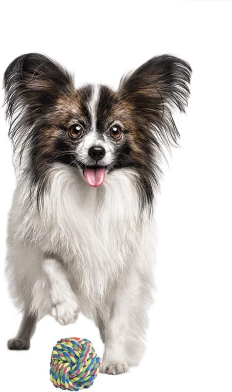 Pelota-para-perro-algodon7.jpg Pelota para perro algodon7
