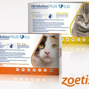 Revolution Plus gatos