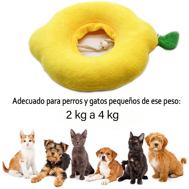 adecuado-para-2-a-4-1.jpg