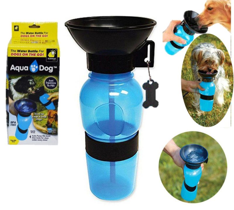 aquadog-1-1.jpg