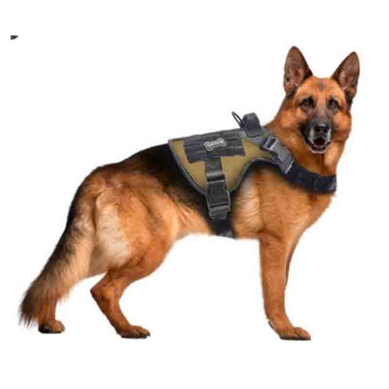 arnes-tactico-perro-xl Arnés Táctico Perro XL  es ideal para para mascotas de tamaño grande. Con sus correas ajustables te aseguras que se acomode al tamaño de tu mascota. Disponible en diversos colores, esté arnes esta pensado en el trajin de los paseos de mascotas grandes.