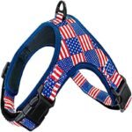 arnes usa
