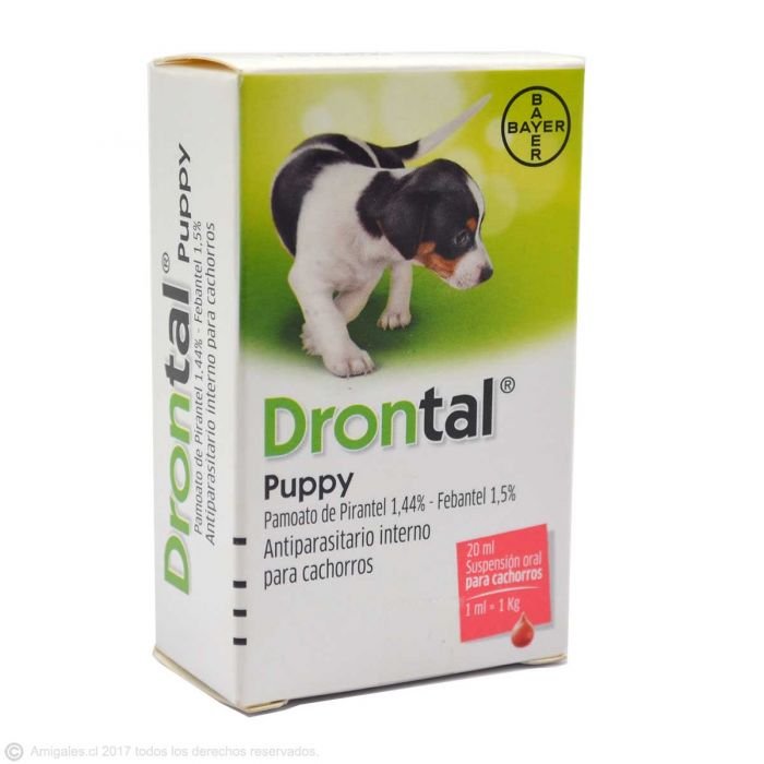 drontalpuppy1-1.jpg