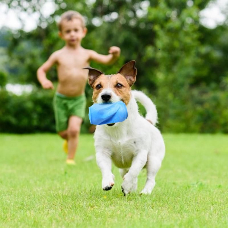 juguetes-mascotas.jpeg El Juguetes Mascotas Morderdor para Perro lata de goma con forma de lata de bebida soda estimula la diversión. Ayuda a tu perro a luchar contra el aburrimiento y a mantenerse ocupado mientras estás fuera. El juguete de perros mordedor es para perros de todas las edades y tamaños. Colores disponibles: Celeste y Rosa.