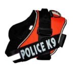 k9-naranjo-1.jpg