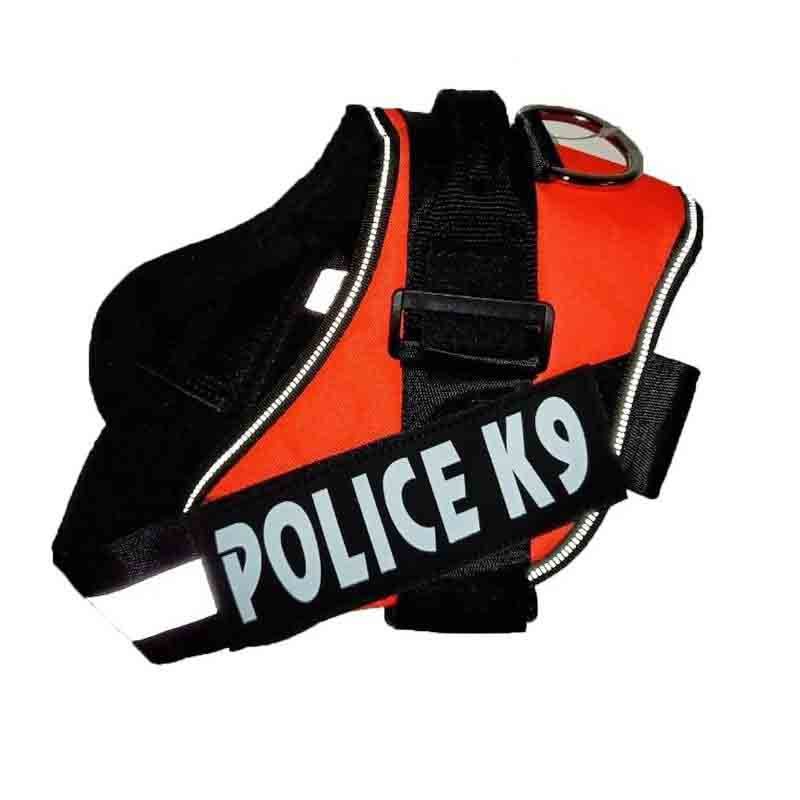 k9-naranjo-1.jpg