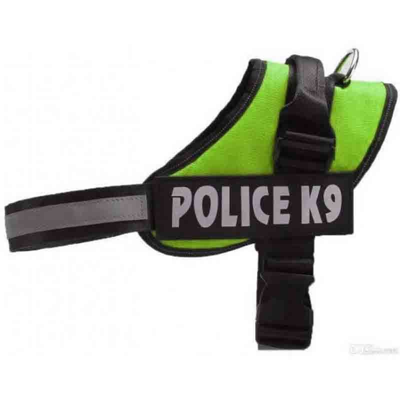 k9-pistacho-1.jpg