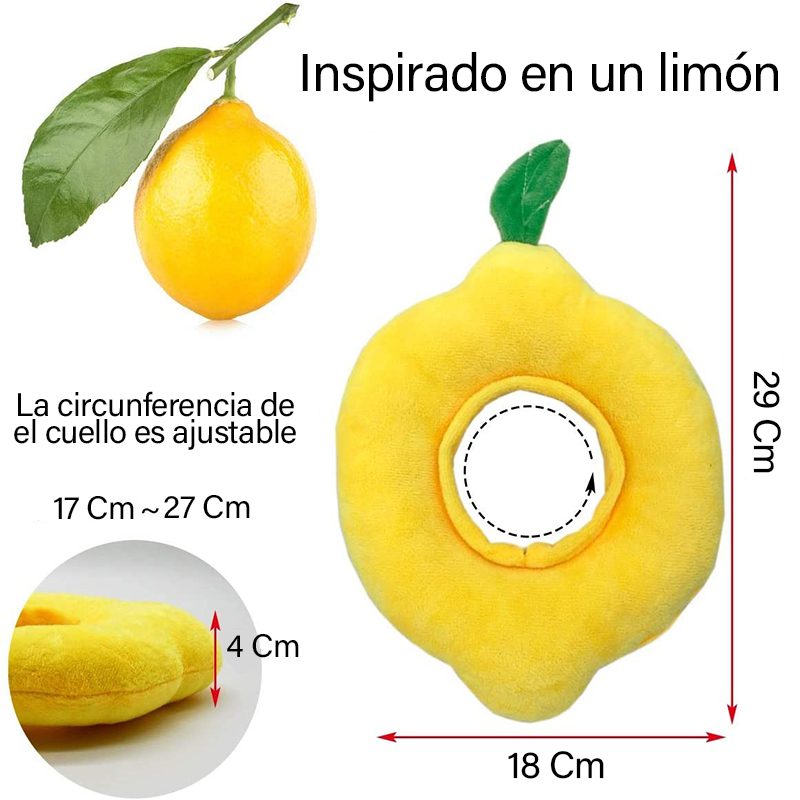 limon-medidas-2.jpg