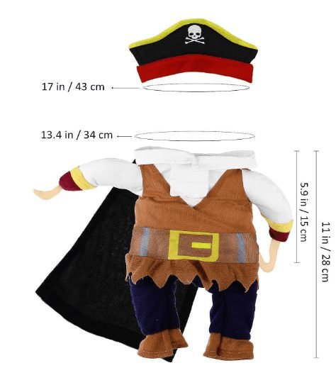pirata-separado-1.jpg