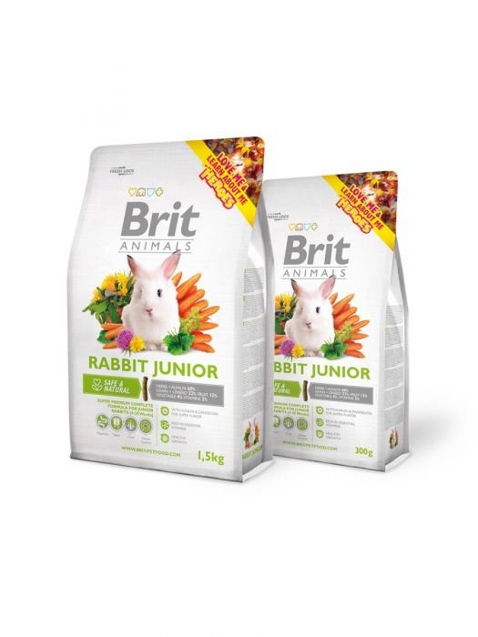 rabbitjunior-1.jpg rabbitjunior 1