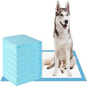 Sabanillas para Perros