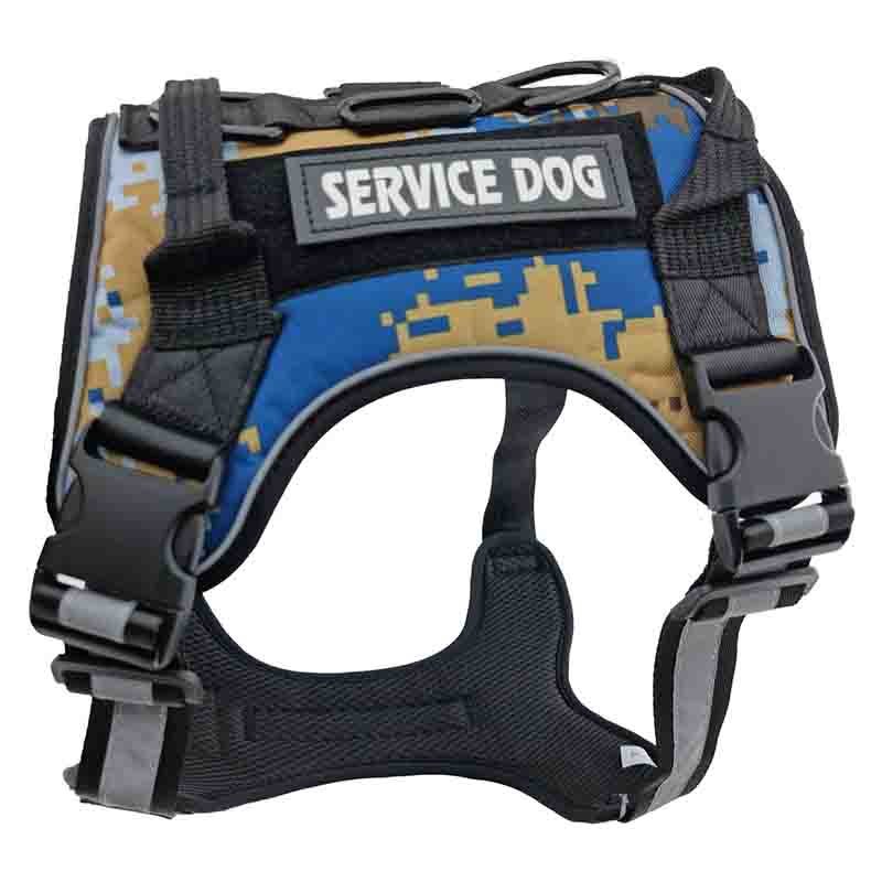 service-dog-azul-3.jpg