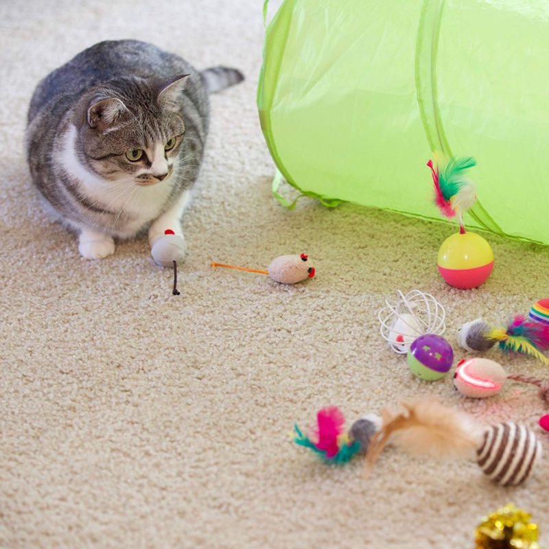 set-de-juguetes-para-gatos-1.jpg