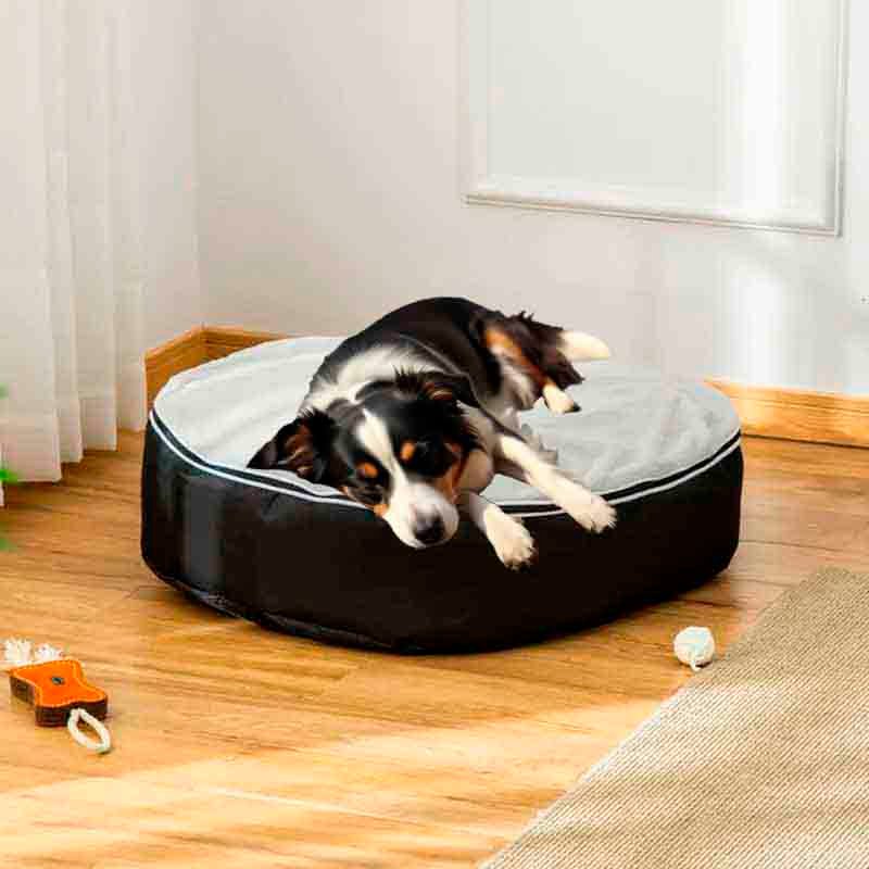 cama-elevada-para-perros cama elevada para perros , una cama ovalada que sera el deleite de tu mascota