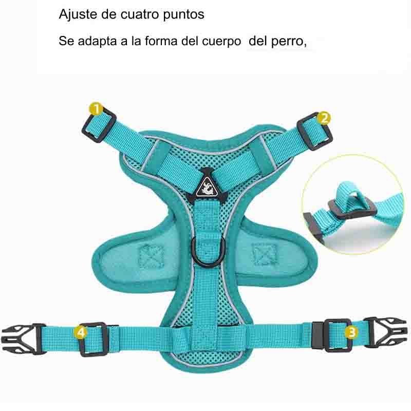 arnes-acolchado-7-3