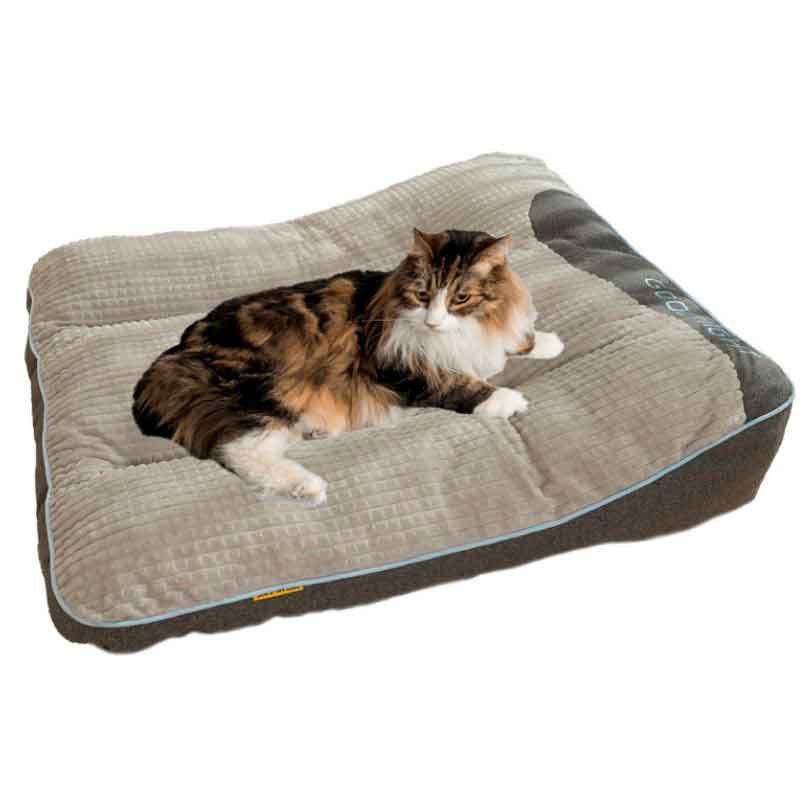 cama-gato-colchon