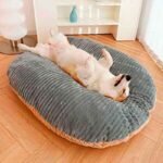 cojin-para-perros-pequeños Cojin para perros pequeños lavable y acogedor para el regalon