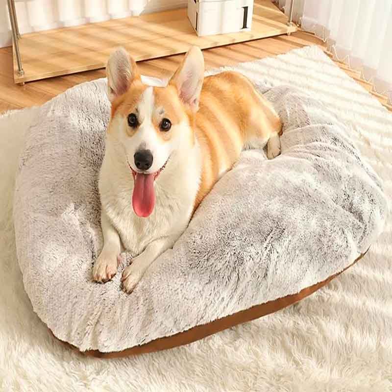 Cojines-para-Perros-Pequeños Cojines para Perros Pequeños Hoopet son una opción de descanso especialmente diseñada para satisfacer las necesidades de las mascotas pequeñas, ofreciendo un nivel óptimo de comodidad y soporte. Estos cojines están fabricados con materiales de alta calidad y cuentan con un acolchado suave pero resistente que garantiza un descanso placentero para tu mascota.