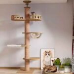 Torre para Gato de 2,6 Metros Pro está siseñada para ofrecer un paraíso vertical a tu mascota, esta torre combina funcionalidad, comodidad y estilo en un paquete excepcional. Con características avanzadas y una altura impresionante, esta torre es ideal para departamentos y hogares donde el espacio vertical es clave.