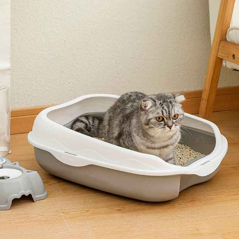 Caja-Arena-Gatos-bierta-7-4